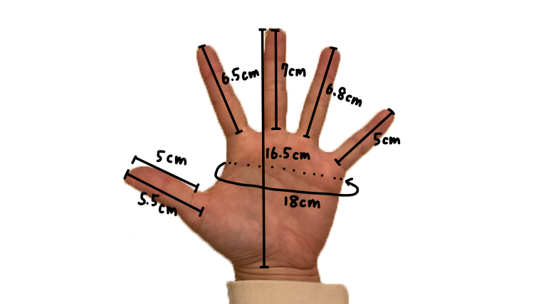 カゼパの手のサイズ画像